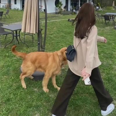 欲女心惊
